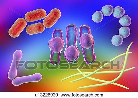 Bacteria, illustration View Large Photo Image Stock Photo - Bacteria, illustration. Fotosearch