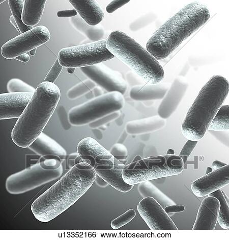 Stock Photograph - Bacteria, illustration. Fotosearch