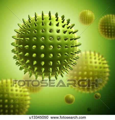 Daisy pollen, illustration View Large Photo Image Stock Image - Daisy pollen, illustration. Fotosearch