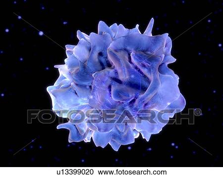 Stock Image - Dendritic cell. Fotosearch