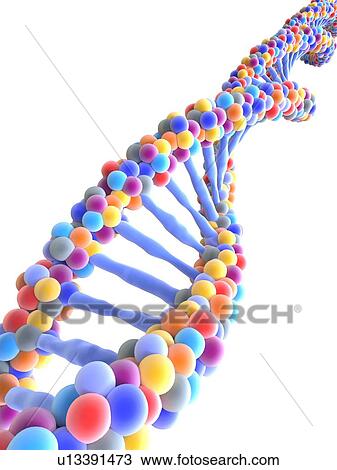 DNA molecule, illustration View Large Photo Image Stock Image - DNA molecule, illustration. Fotosearch