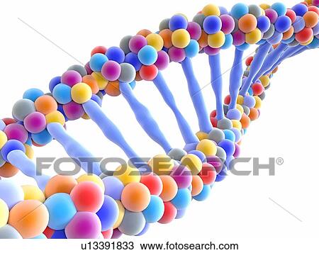 DNA molecule, illustration View Large Photo Image Stock Image - DNA molecule, illustration. Fotosearch