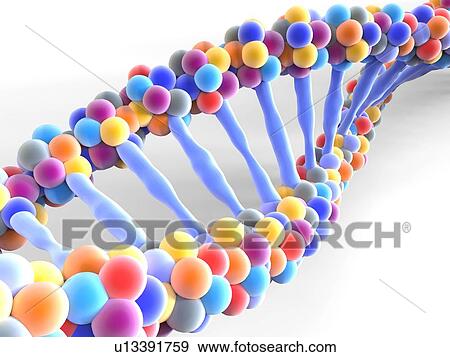 DNA molecule, illustration View Large Photo Image Stock Photo - DNA molecule, illustration. Fotosearch