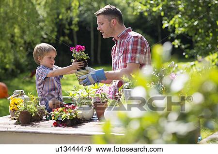 Stock Photo - Father and son holding plant. Fotosearch