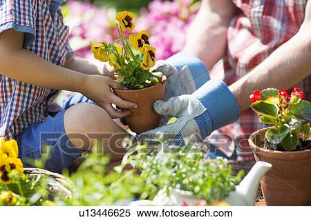 Father and son holding plant View Large Photo Image Stock Photography - Father and son holding plant. Fotosearch