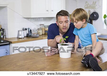Stock Photo - Father and son looking at plant in pot. Fotosearch