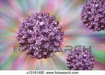 Hepatitis B virus, illustration View Large Photo Image Stock Image - Hepatitis B virus, illustration. Fotosearch