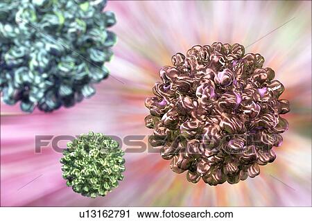Stock Image - Hepatitis B virus, illustration. Fotosearch