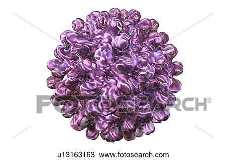 Hepatitis B virus, illustration View Large Photo Image Stock Image - Hepatitis B virus, illustration. Fotosearch