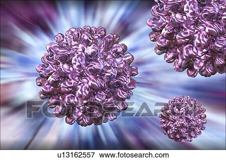 Hepatitis B virus, illustration View Large Photo Image Stock Photo - Hepatitis B virus, illustration. Fotosearch