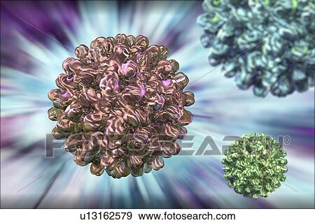 Stock Photo - Hepatitis B virus, illustration. Fotosearch