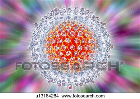 Picture - Hepatitis C virus, illustration. Fotosearch