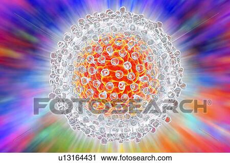 Hepatitis C virus, illustration View Large Photo Image Stock Image - Hepatitis C virus, illustration. Fotosearch