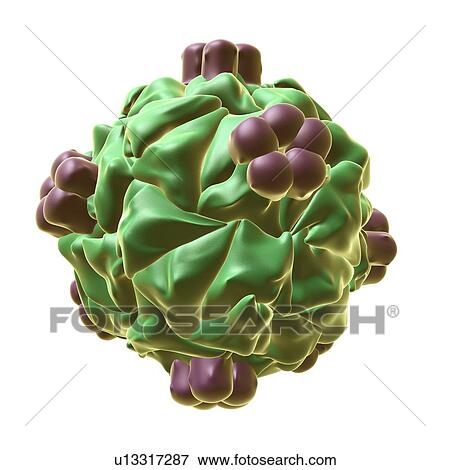 Stock Photo - HK97 bacteriophage capsid, illustration. Fotosearch