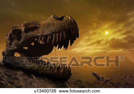 Stock Photograph - Illustration of ptilodus and T rex skull. Fotosearch