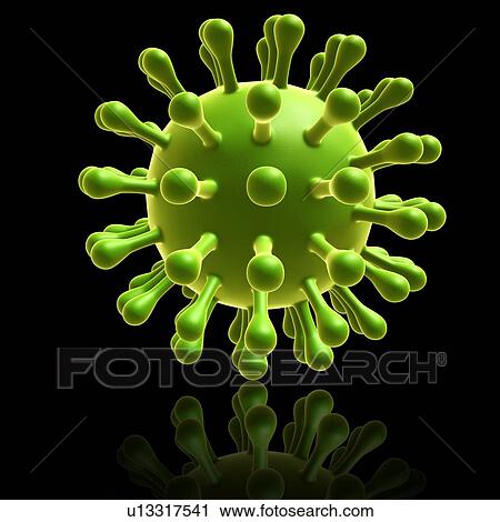 Influenza virus (H1N1), illustration View Large Photo Image Stock Image - Influenza virus (H1N1), illustration. Fotosearch