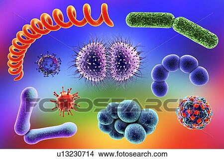Microbes, illustration View Large Photo Image Picture - Microbes, illustration. Fotosearch