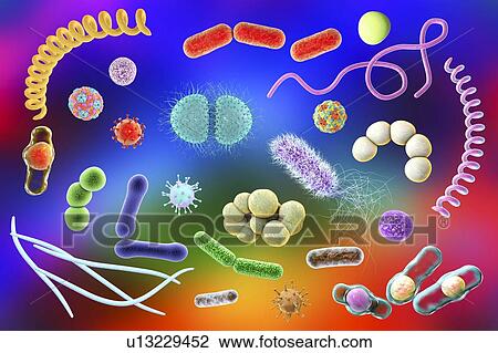 Stock Image - Microbes, illustration. Fotosearch