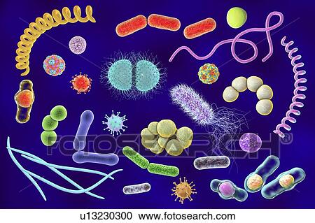 Stock Image - Microbes, illustration. Fotosearch