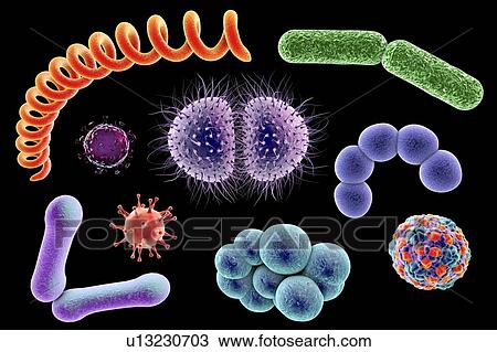 Microbes, illustration View Large Photo Image Stock Image - Microbes, illustration. Fotosearch