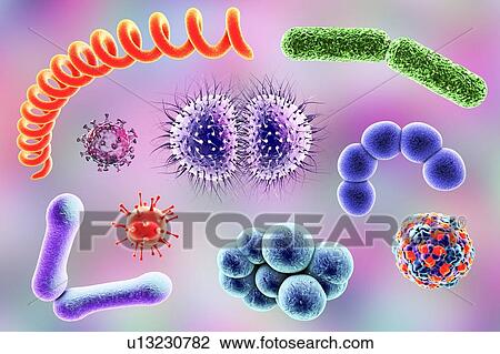 Stock Image - Microbes, illustration. Fotosearch
