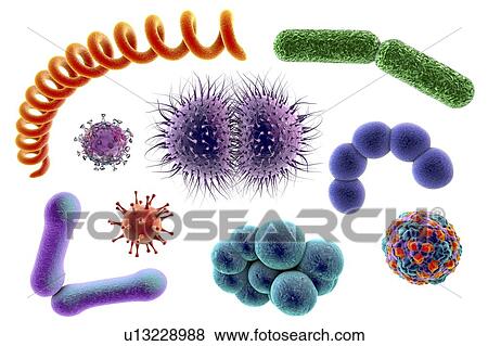 Microbes, illustration View Large Photo Image Stock Photo - Microbes, illustration. Fotosearch