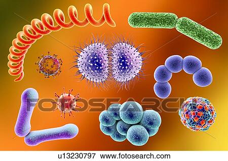 Stock Photo - Microbes, illustration. Fotosearch