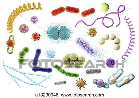 Microbes, illustration View Large Photo Image Stock Photograph - Microbes, illustration. Fotosearch