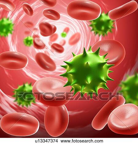 Picture - Norovirus infection, illustration. Fotosearch