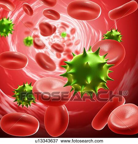 Norovirus infection, illustration View Large Photo Image Stock Photo - Norovirus infection, illustration. Fotosearch