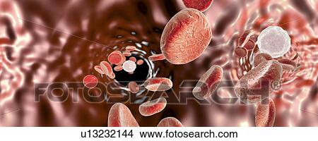 Picture - Red blood cells, illustration. Fotosearch