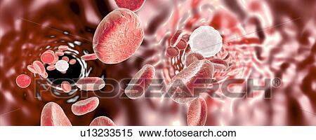 Stock Photography - Red blood cells, illustration. Fotosearch
