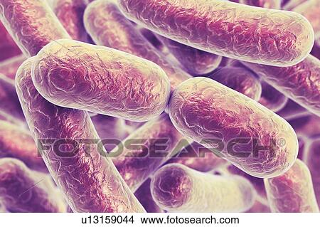 Rod-shaped bacteria, illustration View Large Photo Image Picture - Rod-shaped bacteria, illustration. Fotosearch