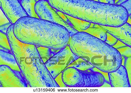 Rod-shaped bacteria, illustration View Large Photo Image Stock Photograph - Rod-shaped bacteria, illustration. Fotosearch
