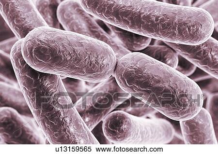 Stock Photography - Rod-shaped bacteria, illustration. Fotosearch
