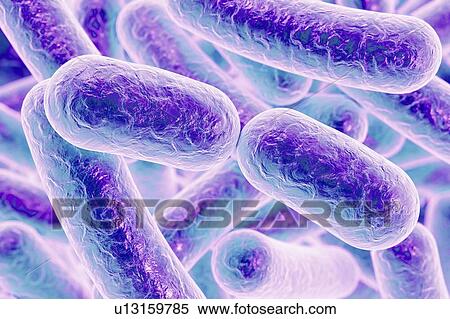 Rod-shaped bacteria, illustration View Large Photo Image Stock Photography - Rod-shaped bacteria, illustration. Fotosearch