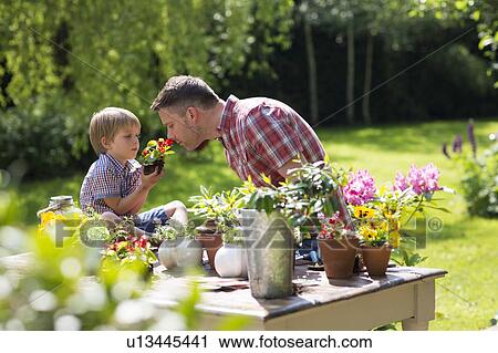 Stock Image - Son holding plant. Fotosearch