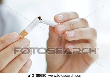 Young woman breaking cigarette in half View Large Photo Image Stock Image - Young woman breaking cigarette in half. Fotosearch