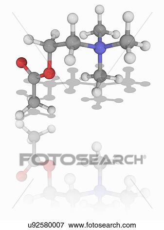 Stock Photo - Acetylcholine organic compound molecule. Fotosearch