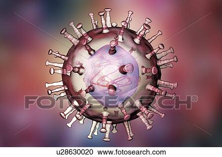 African swine fever virus, illustration View Large Photo Image Stock Image - African swine fever virus, illustration. Fotosearch