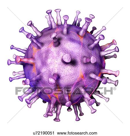 Stock Image - African swine fever virus, illustration. Fotosearch