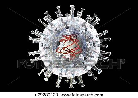 African swine fever virus, illustration View Large Photo Image Stock Image - African swine fever virus, illustration. Fotosearch