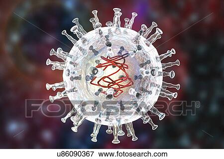 Stock Photo - African swine fever virus, illustration. Fotosearch