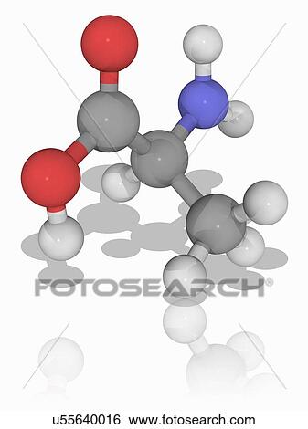 Alanine organic compound molecule View Large Photo Image Stock Photograph - Alanine organic compound molecule. Fotosearch