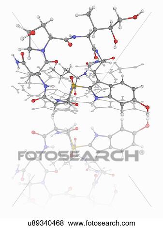 Stock Photo - Alpha-Amanitin toxin molecule. Fotosearch