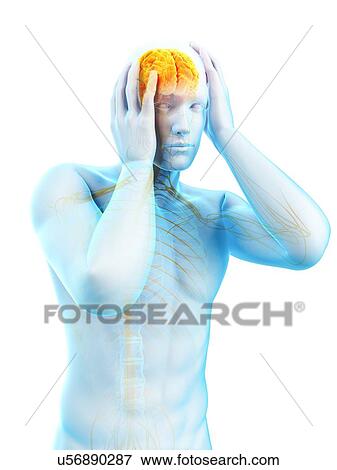 Anatomy of person with headache, illustration View Large Photo Image Stock Photo - Anatomy of person with headache, illustration. Fotosearch