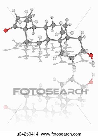 Androsterone hormone molecule View Large Photo Image Picture - Androsterone hormone molecule. Fotosearch