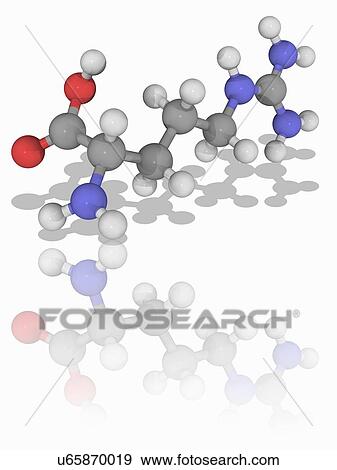 Arginine organic compound molecule View Large Photo Image Stock Photo - Arginine organic compound molecule. Fotosearch