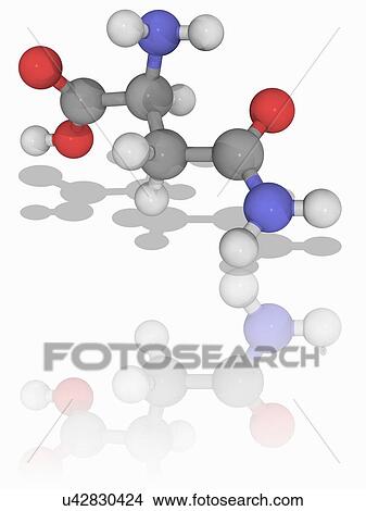 Asparagine organic compound molecule View Large Photo Image Picture - Asparagine organic compound molecule. Fotosearch
