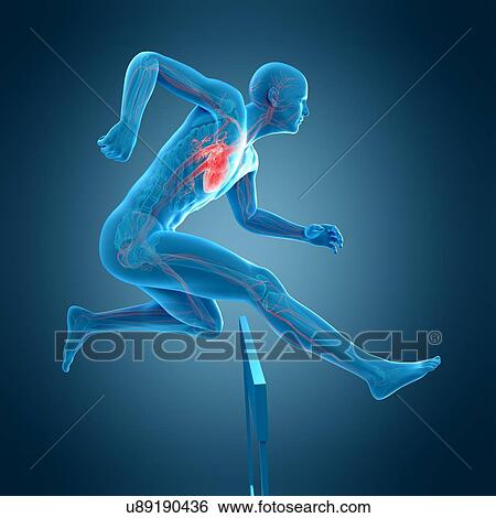 Athlete hurdling over hurdle, illustration View Large Photo Image Stock Photograph - Athlete hurdling over hurdle, illustration. Fotosearch